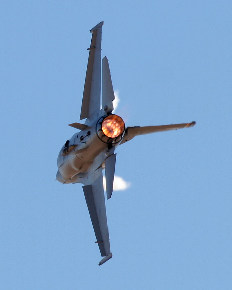 Falcon_01.jpg