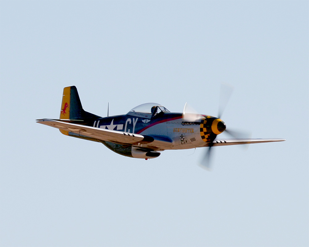 Mustang_02.jpg