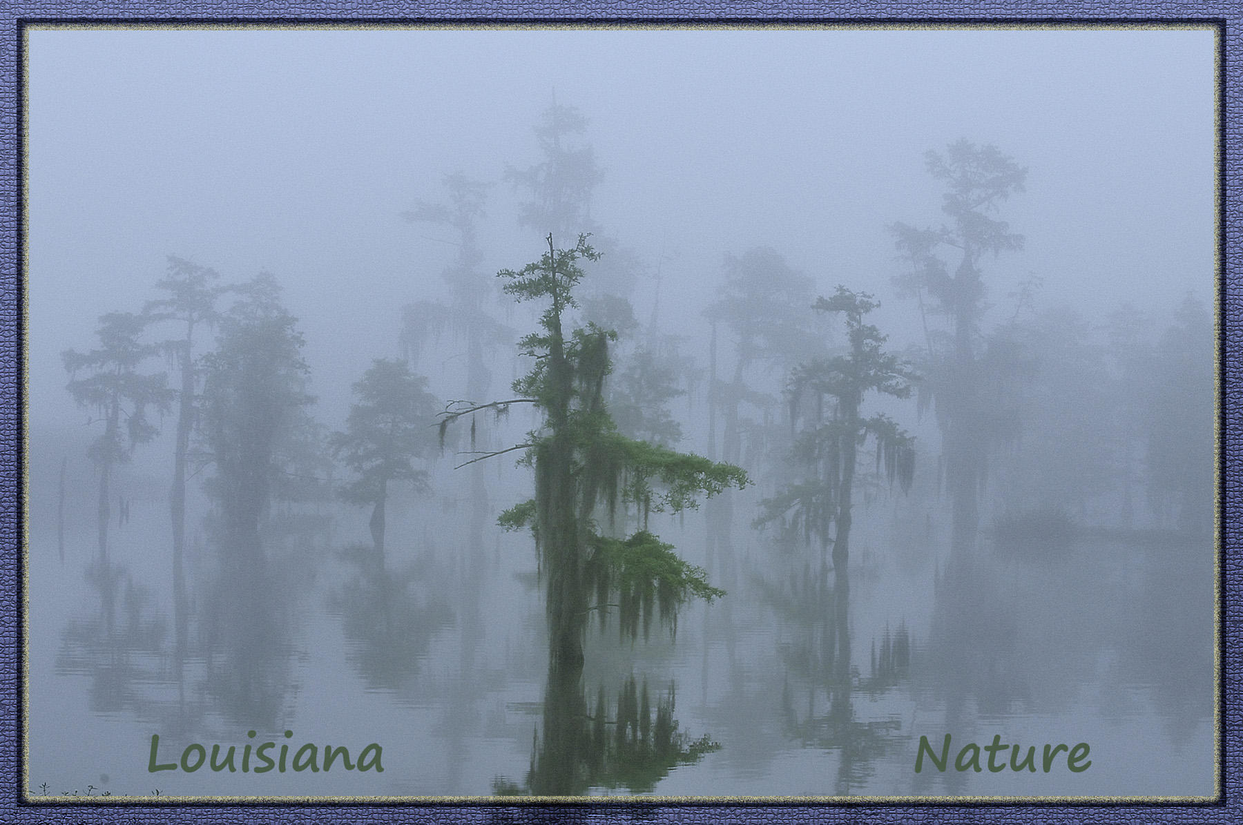 Louisiana Nature