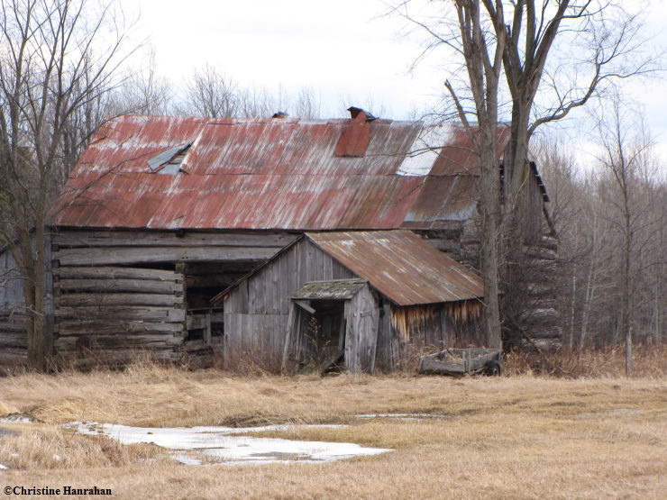 Old Barn #5