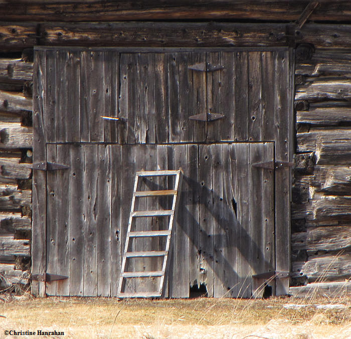 Keeping the barn door closed