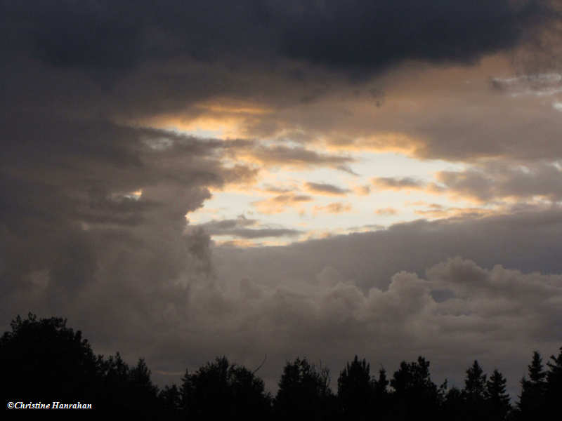 Sunset over Larose Forest