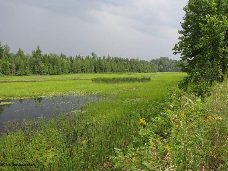 Clyde forks, K&P trail