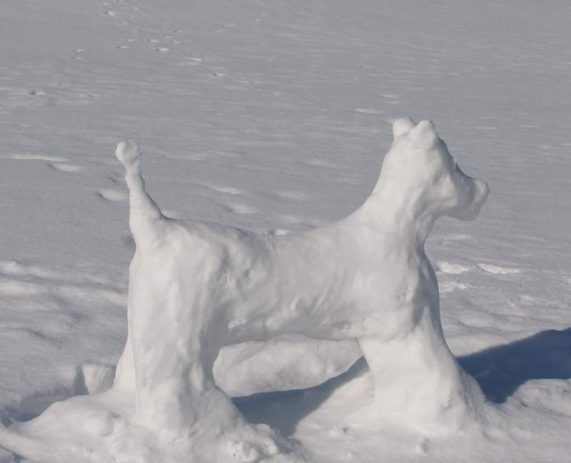 Snowdog