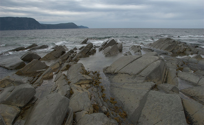 Newfoundland Rocks