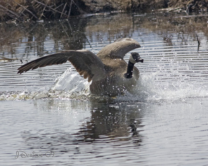 IMG_4499w.jpg
