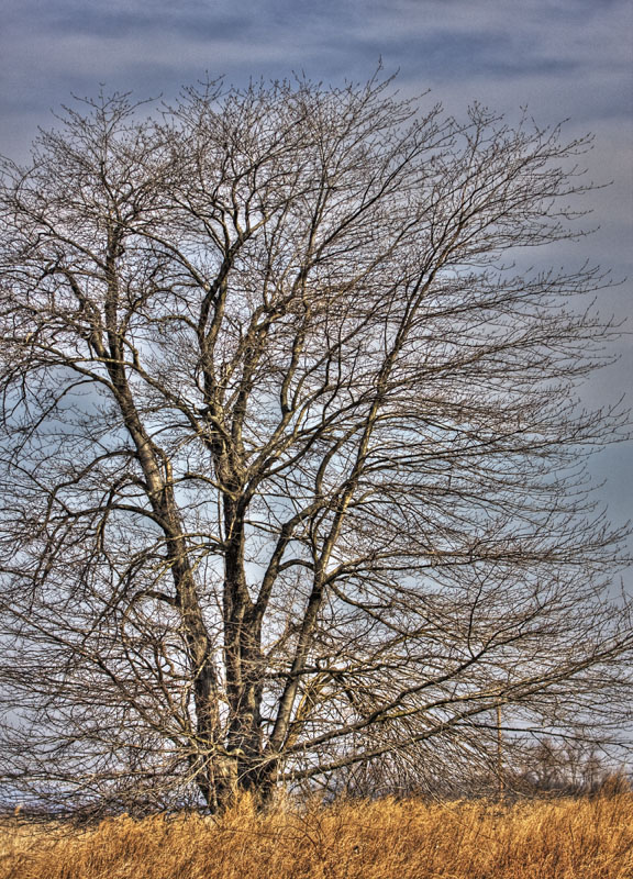 IMG_3004_5_6.jpg