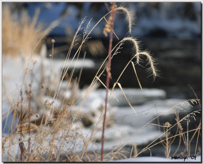 Wintery Shoreline ... 