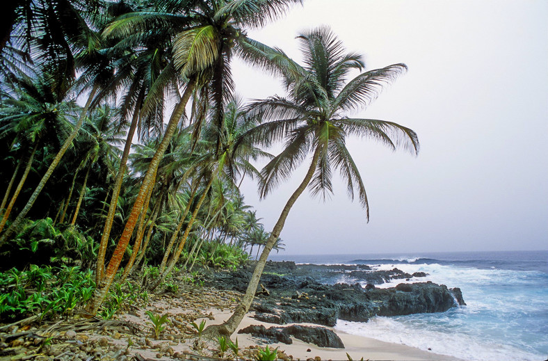 Beach Down the Equator