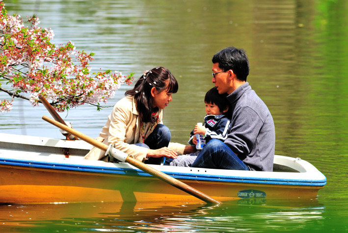 Boating under Sakura