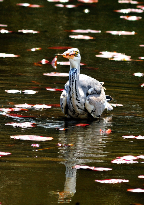 Only the Small One Can Fish ?  Nah!!!!