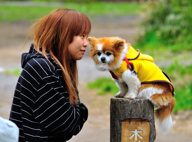 Pets & Owners