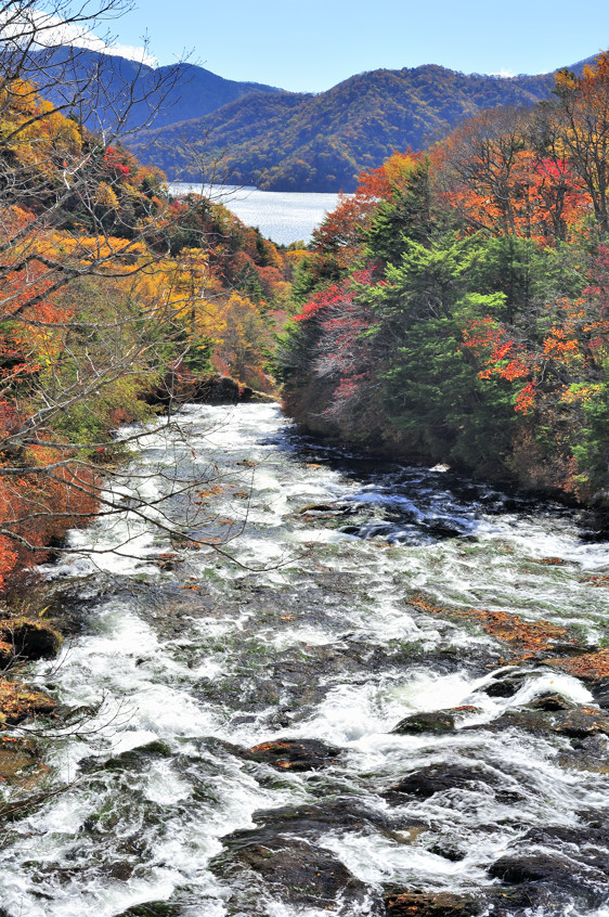 Waterfall to the Lake