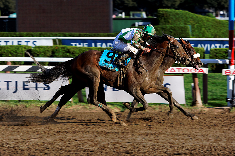 2008 Travers Photo Finish.jpg