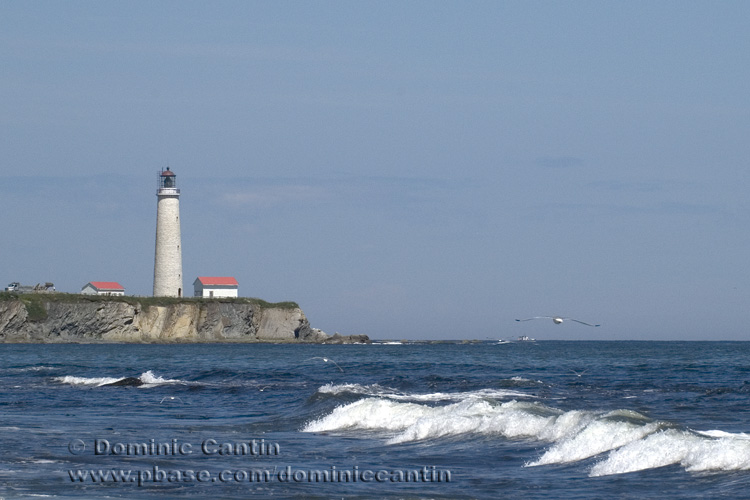 Cap-des-Rosiers