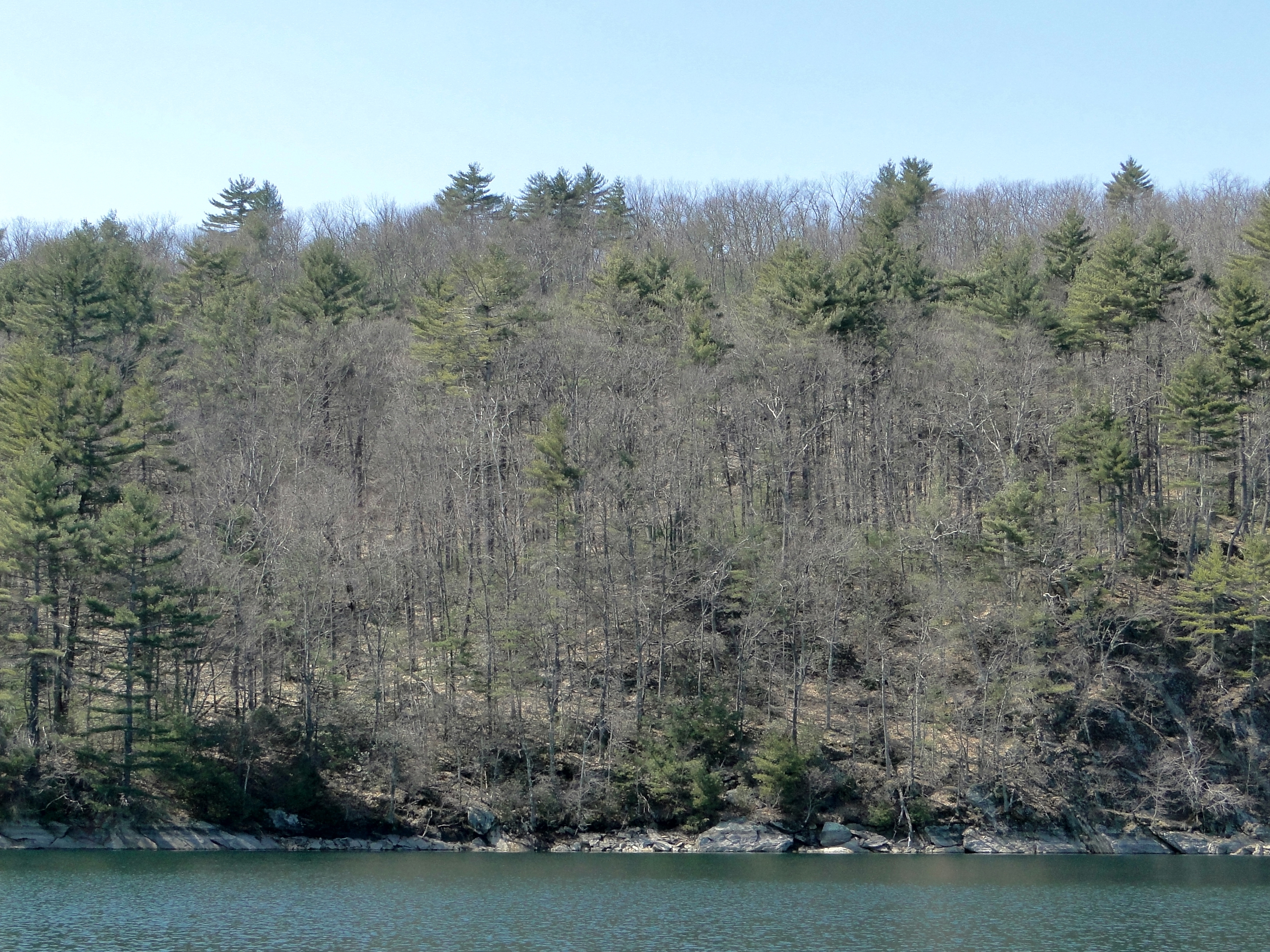 Quabbin Eagle Count April 5 2013 DHSmall 32.JPG