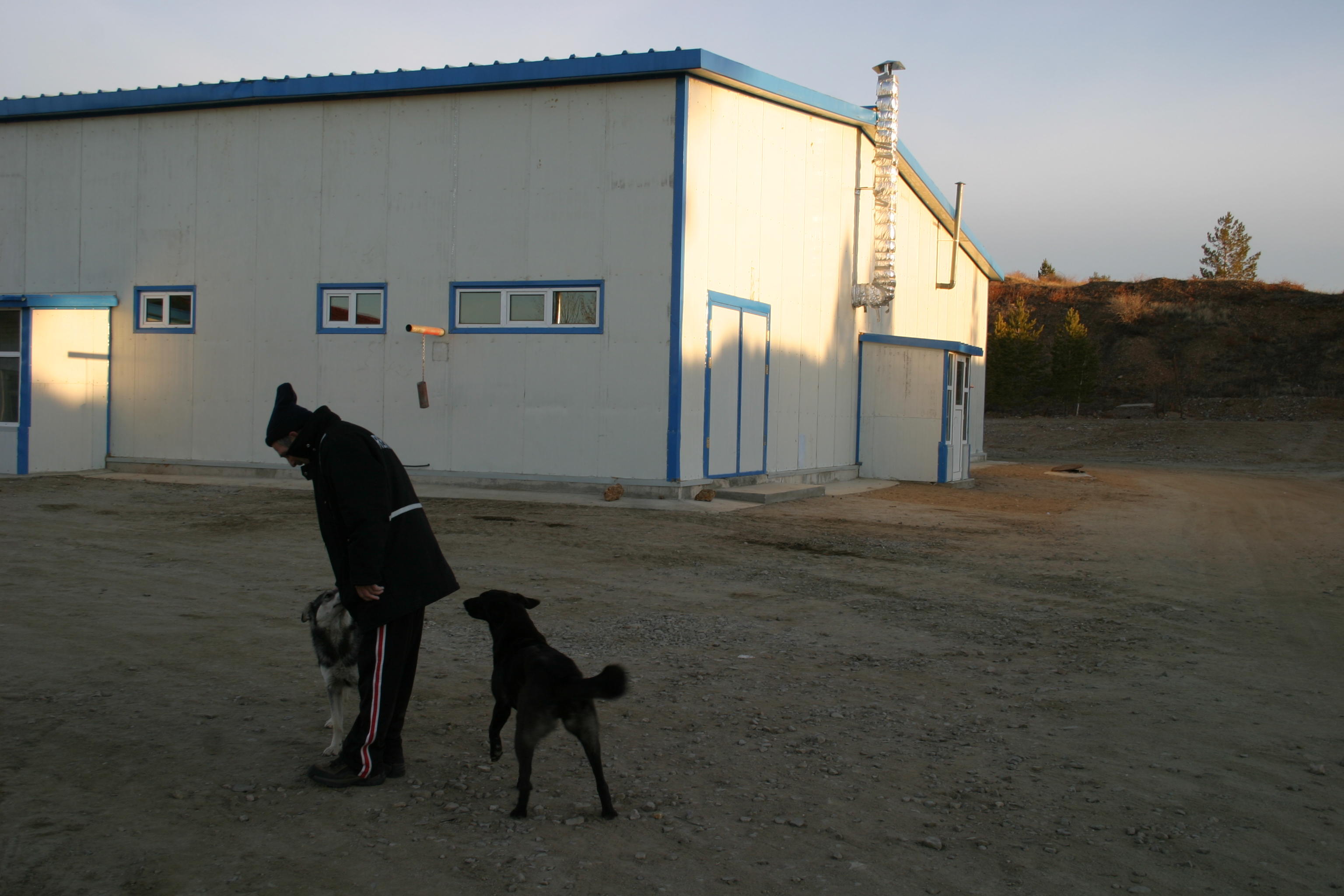 Jerry with our canine buddies