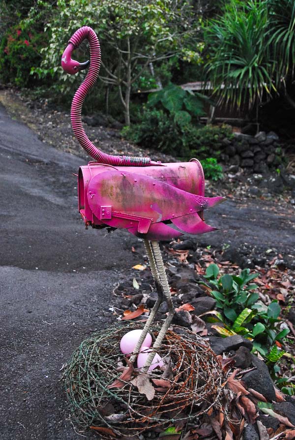 pink mingo