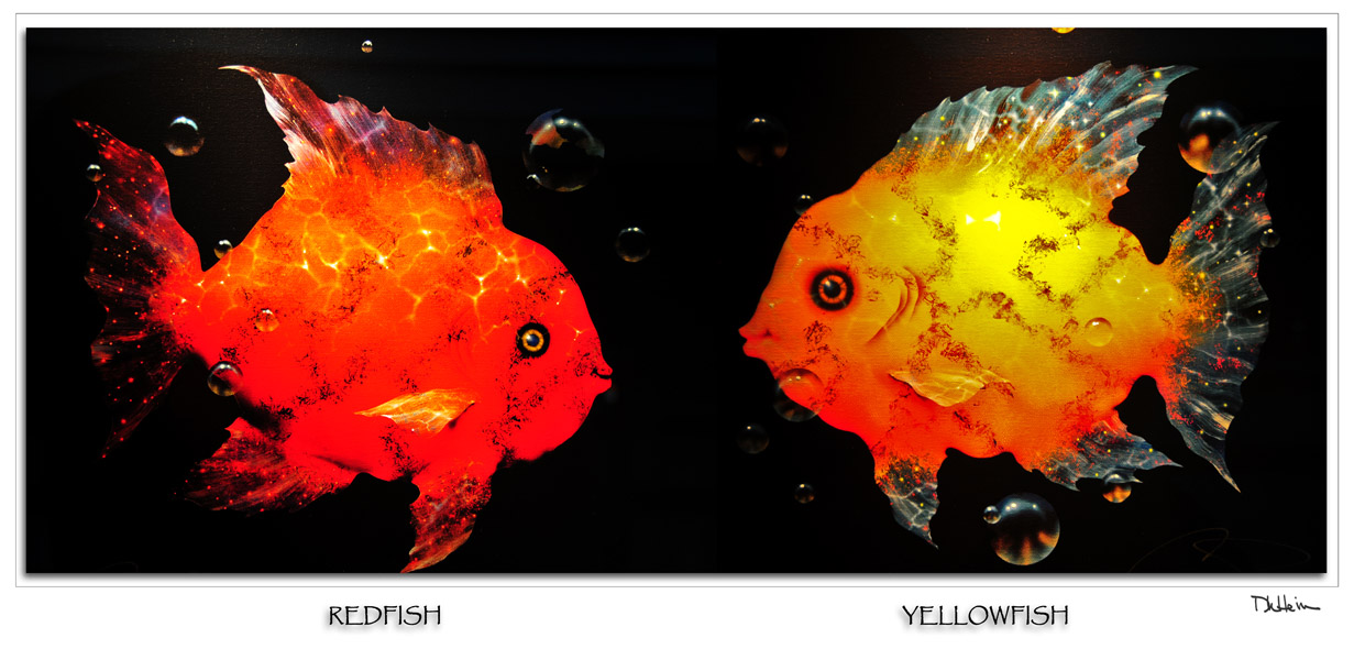 red fish - yellow fish