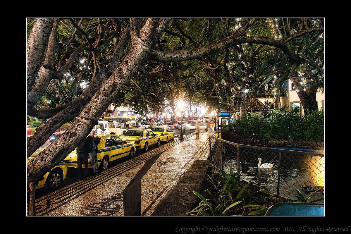 2011 - Street Lights - Funchal, Madeira