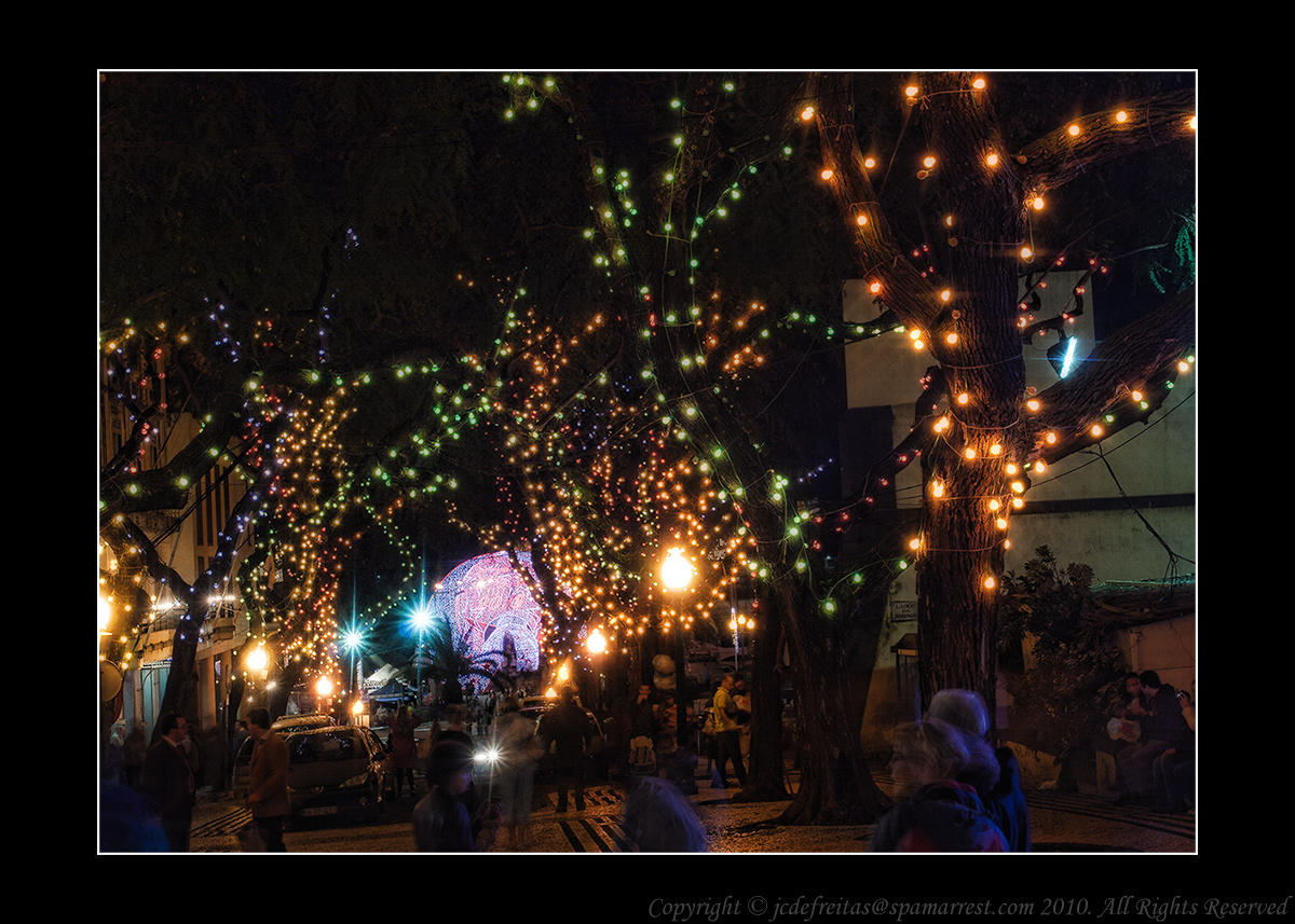 2011 - Street Lights - Funchal, Madeira