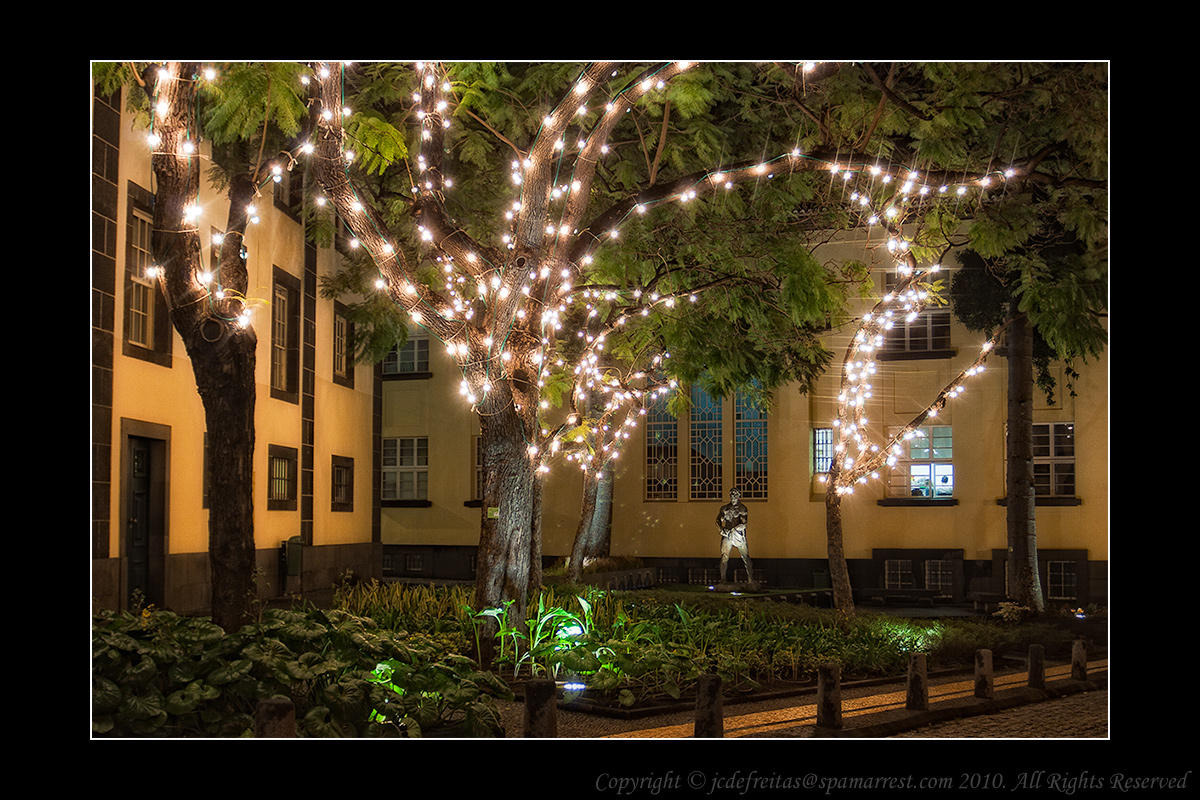 2011 - Street Lights - Funchal, Madeira