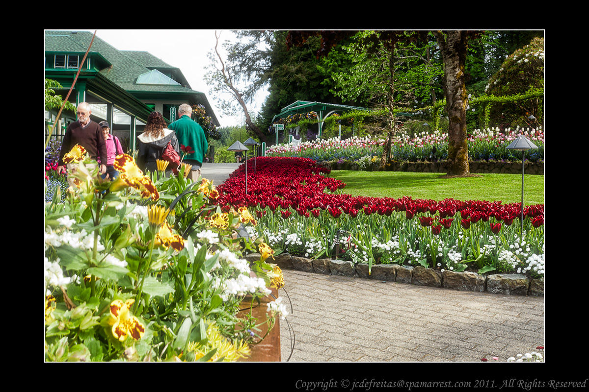 2011 - Vancouver Island - Victoria - Butchart Gardens