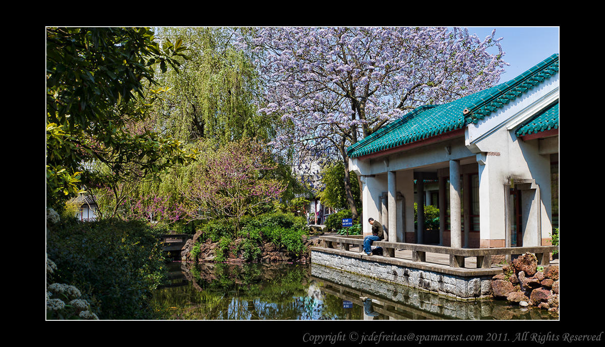 2011 - Vancouver - Dr. Sun Yat-Sen Classical Chinese Garden