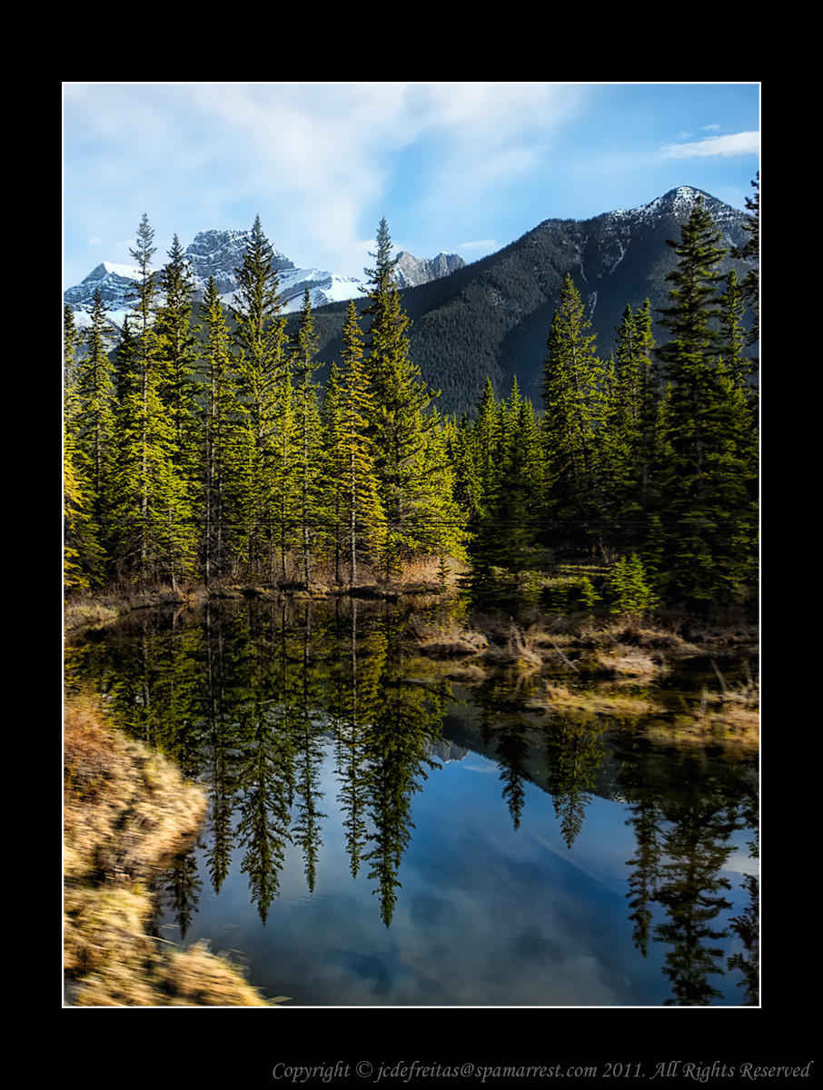 2011 - View from the Rocky Mountaineer Train -  Vancouver to Calgary