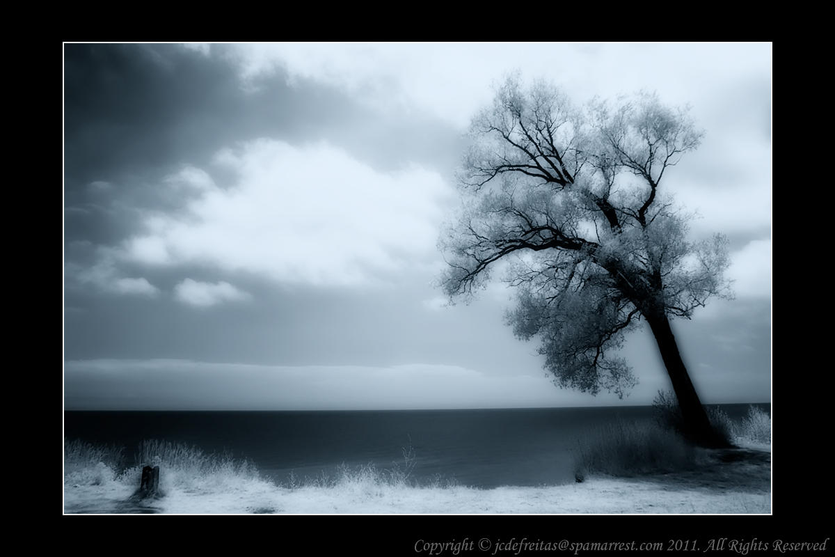 2011 - Infrared - Scarborough Bluffs