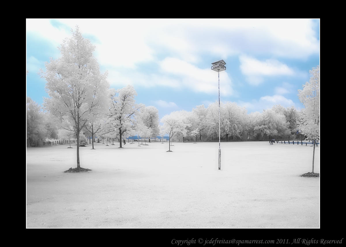 2011 - Infrared - Scarborough Bluffs