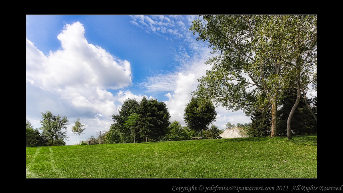 2011 - Scarborough Bluffs