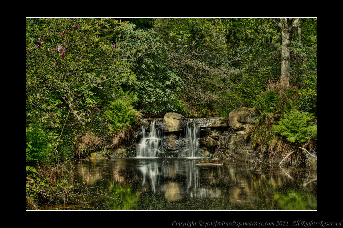 2011 - Vancouver - Stanley Park