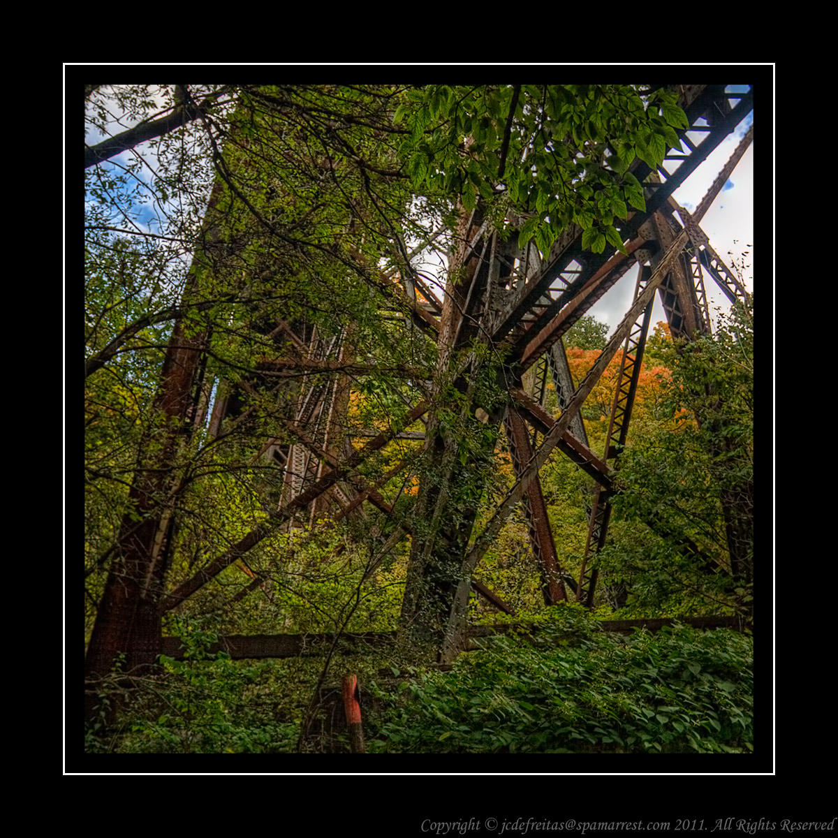 2010 - Seton Park