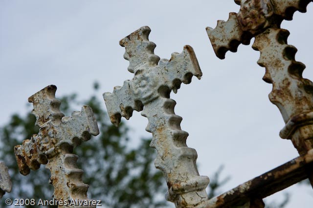 _MG_6557.jpg