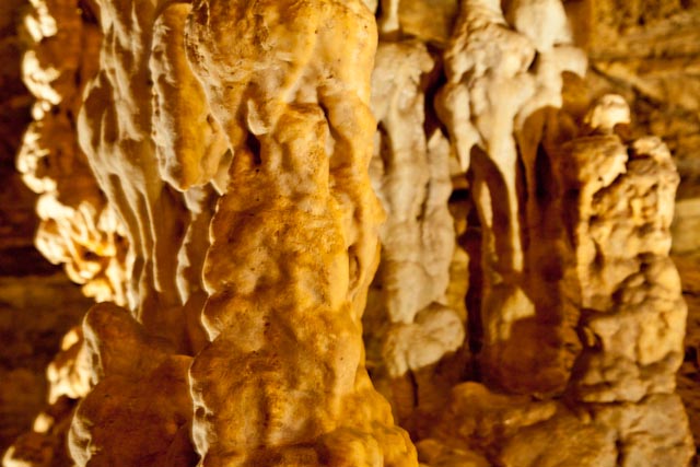 _MG_0283.jpg
