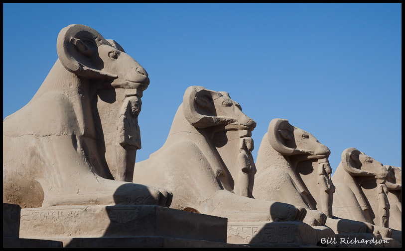 karnac temple sphinxes.jpg