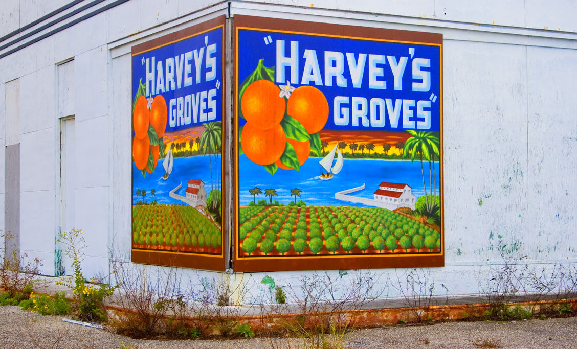 Harveys Groves