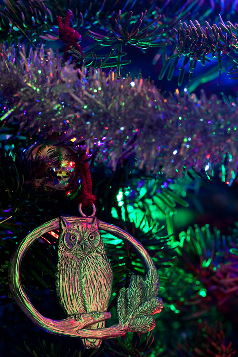 Owl On The Tree