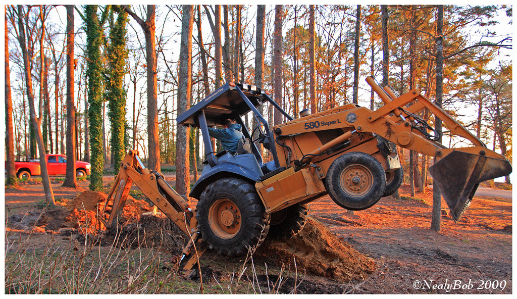 Diggin Up Stumps February 21