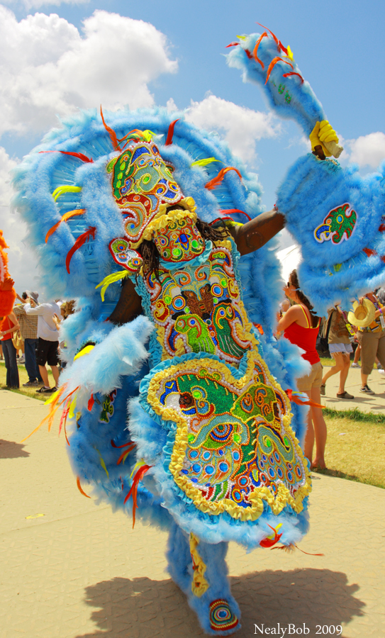 Mardi Gras Indian