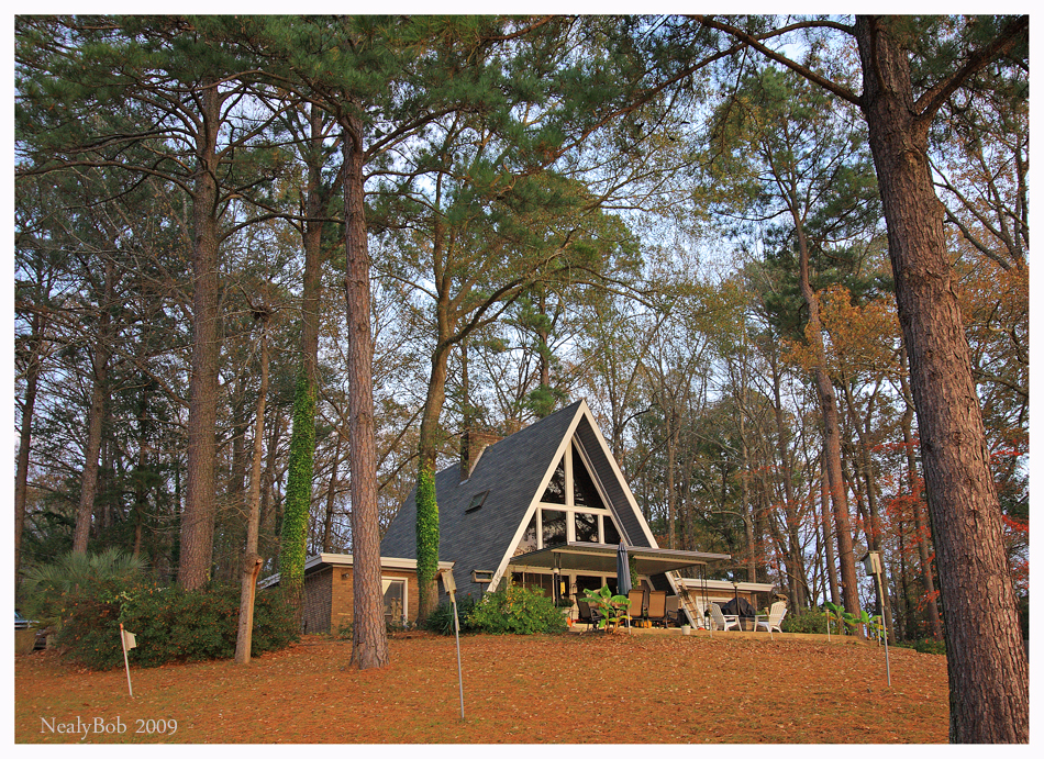 The Neighbors Home Decmeber 5