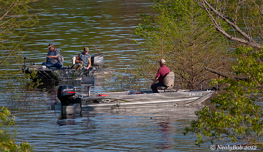 Catching White Perch April 6