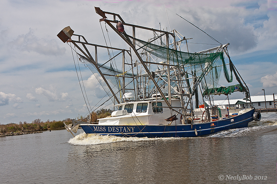 Shrimp Boat October 26