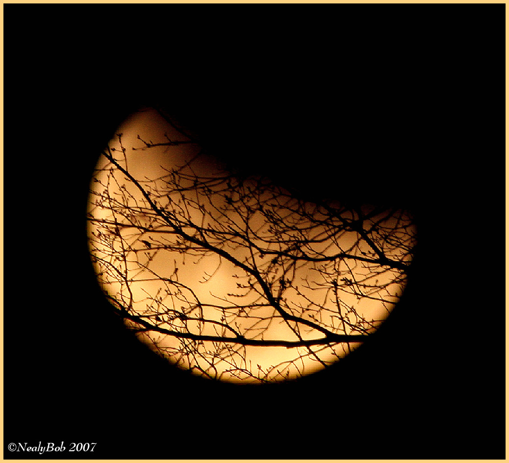 Lunar Eclipse