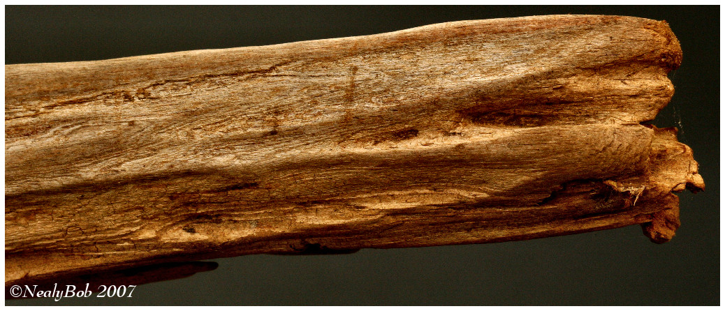 Wood