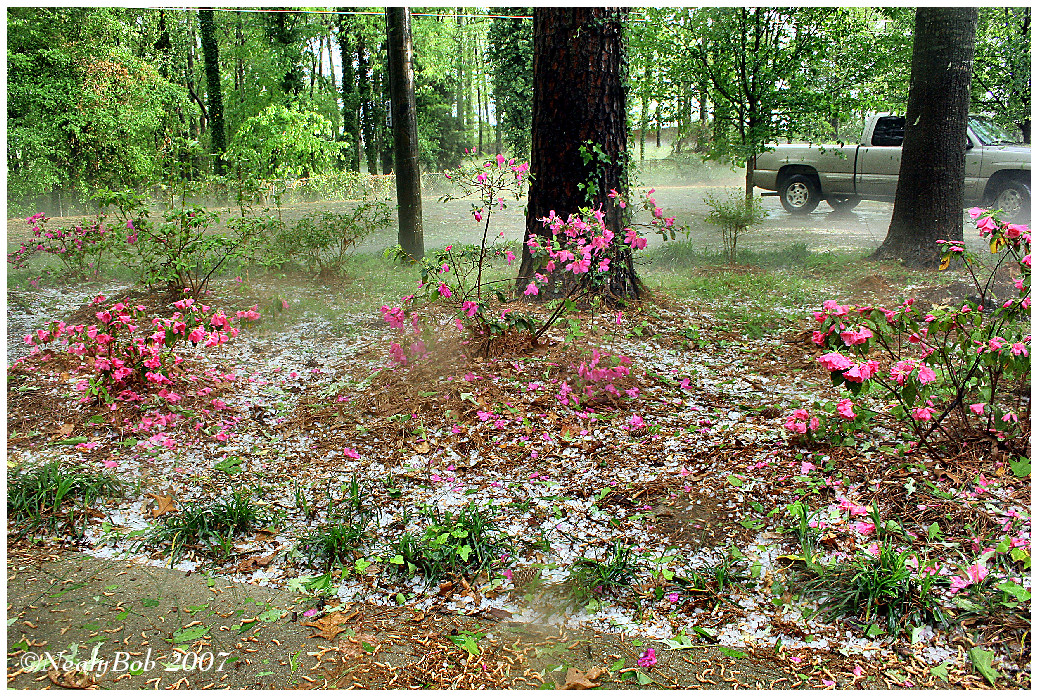 Hail Storm March 29 *