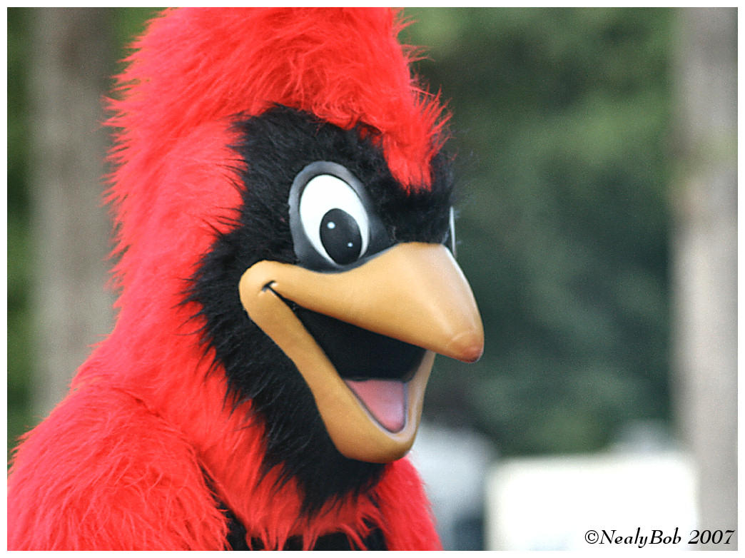 Festival Mascot