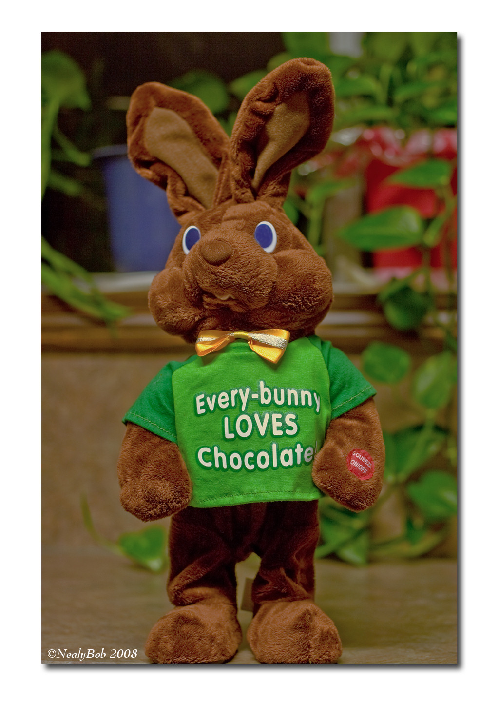 Easter Bunny March 24