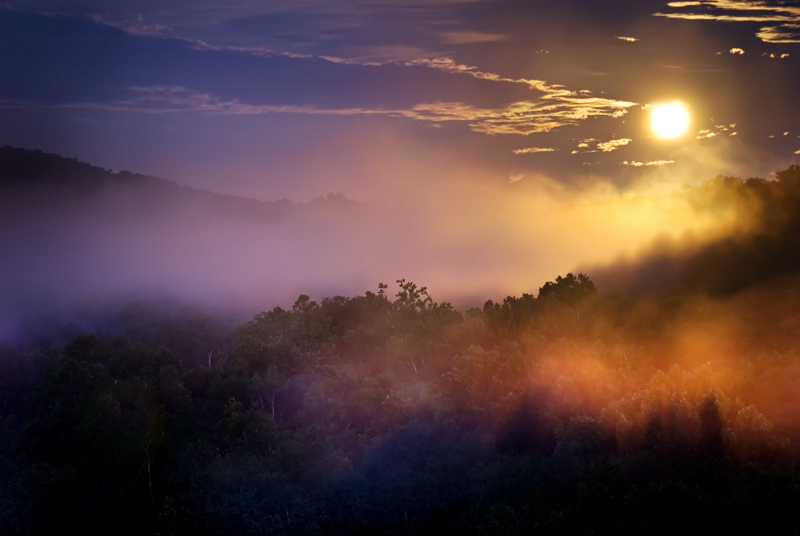 Moon and Mist